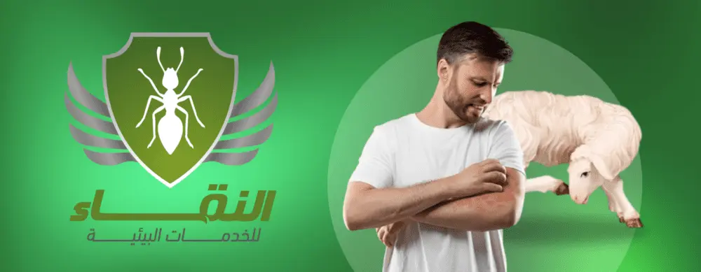 الجرب الساركوبتي