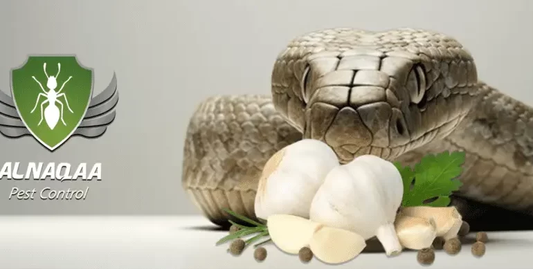 كيف اتخلص من الثعبان في البيت